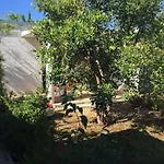Campingplads Cala Dei Ginepri Torre Santa Sabina