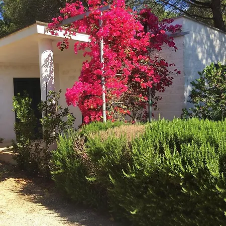 Cala Dei Ginepri 토레 산타 사비나